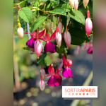 L'Arboretum de Versailles - Chevreloup