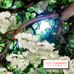 Fête de la Nature 2018 : les oiseaux de Paris