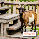 Le Jardin d'Acclimatation dévoile son nouveau visage et ses attractions, les photos