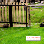 Le Jardin d'Acclimatation dévoile son nouveau visage et ses attractions, les photos