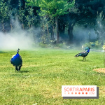 Le Jardin d'Acclimatation dévoile son nouveau visage et ses attractions, les photos