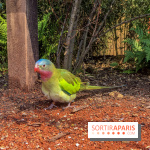 Le Jardin d'Acclimatation dévoile son nouveau visage et ses attractions, les photos