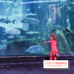 Loup préserve les océans à l'Aquarium de Paris, les photos