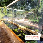 Jardins Jardin 2018, les photos