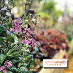 Jardins Jardin 2018, les photos