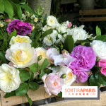 Jardins Jardin 2018, les photos