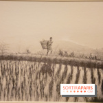 Terres de riz, l'exposition au musée Guimet