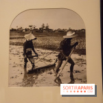 Terres de riz, l'exposition au musée Guimet