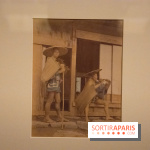 Terres de riz, l'exposition au musée Guimet