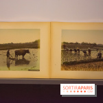 Terres de riz, l'exposition au musée Guimet