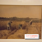 Terres de riz, l'exposition au musée Guimet