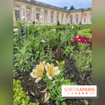 Jean Cotelle, l'exposition au Grand Trianon de Versailles