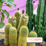 Le Jardin Suspendu à Paris