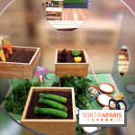 Le Jardin Suspendu à Paris