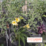 Sous les Fraises & So Ouest inaugurent la première ferme maraichère urbaine à Levallois-Perret : les photos