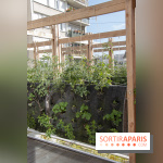Sous les Fraises & So Ouest inaugurent la première ferme maraichère urbaine à Levallois-Perret : les photos