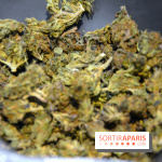 Le Lab du bonheur à Paris, un Coffee Shop CBD bien-être 