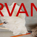 Servante : seul en scène au Théâtre du Gymnase Marie-Bell