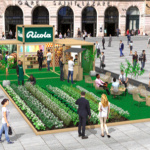 Le Champ de plantes by Ricola à Saint Lazare 