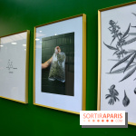 BlueDreamLab le spécialiste de la vente de cannabis CBD