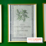 BlueDreamLab le spécialiste de la vente de cannabis CBD