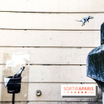 Banksy à Paris, les œuvres en photos