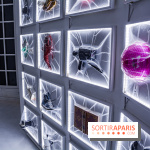 La Villa Extraordinaire, les photos 