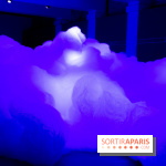 FUKAMI, l'exposition à l'hôtel Salomon de Rothschield