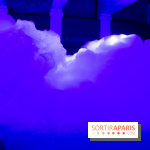 FUKAMI, l'exposition à l'hôtel Salomon de Rothschield