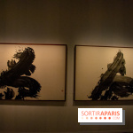 Exposition Yu-Ichi Inoue à la Maison de la Culture du Japon