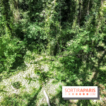 AccroCamp, l'accrobranche des Boucles de Seine