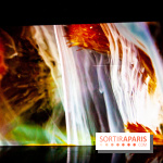Colours X Colours, l'installation immersive à l'Atelier des Lumières
