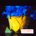 Colours X Colours, l'installation immersive à l'Atelier des Lumières