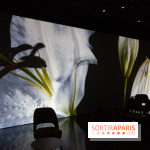 Colours X Colours, l'installation immersive à l'Atelier des Lumières