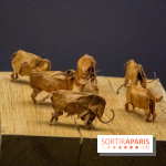 Art Brut Japonais II, l'exposition à la Halle Saint-Pierre