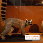 Exposition Madagascar au musée du Quai Branly 