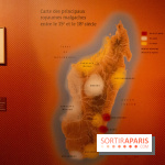 Exposition Madagascar au musée du Quai Branly 
