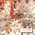 Pierre Hermé : Bûches, galette et créations de Noël 2018