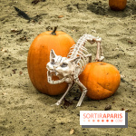 Halloween à la Mer de Sable 2018, les photos