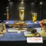 Poison au Palais de la Découverte, les photos 