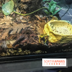 Poison au Palais de la Découverte, les photos 