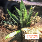 Poison au Palais de la Découverte, les photos 