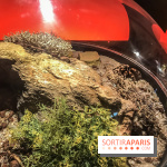 Poison au Palais de la Découverte, les photos 