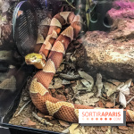 Poison au Palais de la Découverte, les photos 