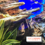 Poison au Palais de la Découverte, les photos 