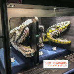 Poison au Palais de la Découverte, les photos 