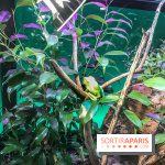 Poison au Palais de la Découverte, les photos 