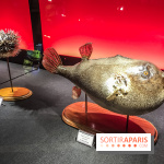 Poison au Palais de la Découverte, les photos 