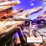 Poison au Palais de la Découverte, les photos 