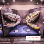 Poison au Palais de la Découverte, les photos 